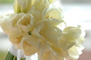 White tulip Bouquet.jpg